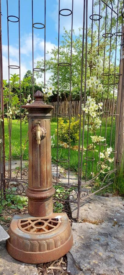 Au Coquelicot : Gite Cosy Pour 8 Pers. Avec Jardin Ath Eksteriør billede